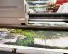 Signboard and Banner Printing